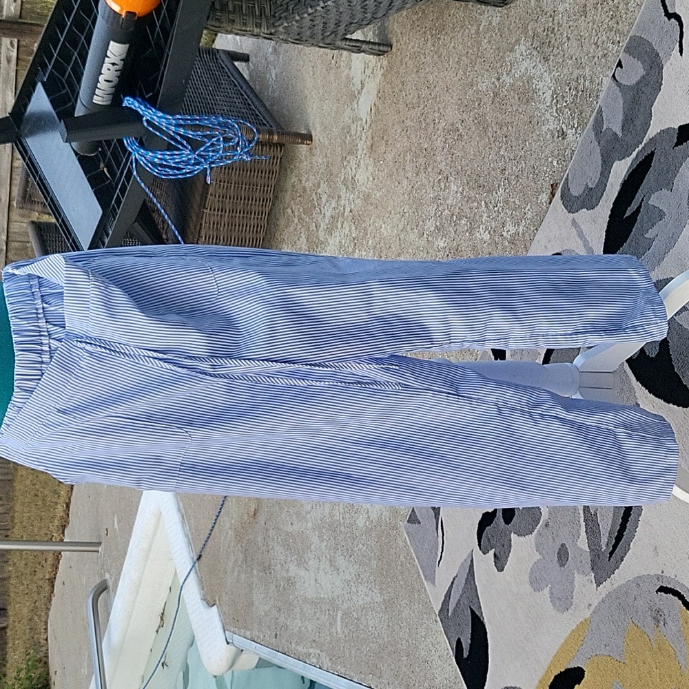 Womens Blue Strip Pants